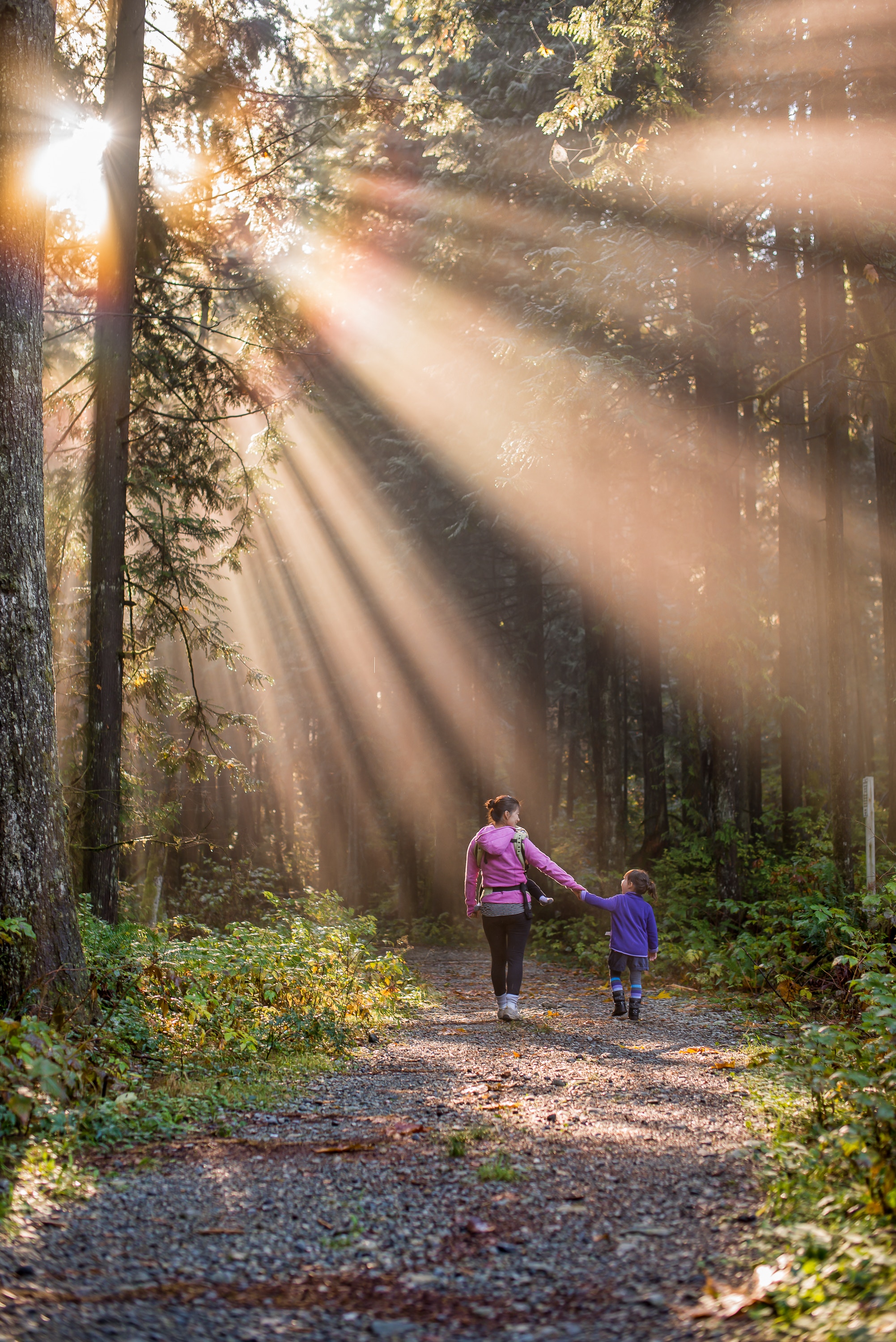 Mom, baby in carrier, and daughter holding hands walking away on a forest path with sunlight streaming from above