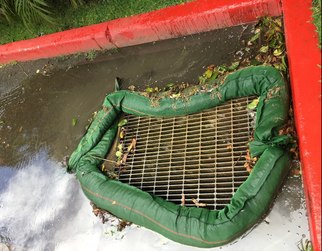 green biosocks surround storm drain in street preventing leaves and white substance out
